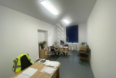 Casa în Dumbrăvița cu teren de 3039 mp și Front Stradal de 40 ml - 9