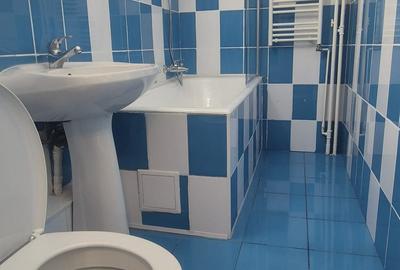 Garsoniera Vitan Mall - Vlad Judetul - 9