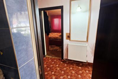 Casă 4 camere, 685 mp teren, renovată 2011 – Mănești, Zalhanaua - 34