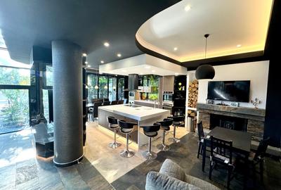 Vilă superbă, unicat, versatilă, lift interior, zona Carrefour Colentina! - 3