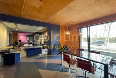APARTAMENT UNIC/CONCEPT HOUSE/DESIGN/SERVICII HOTELIERECOMPLETE/PRIMAVERII - 54