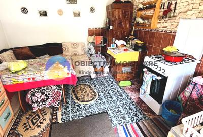 CASA + HALĂ  comuna ALEXANDRU cel BUN - 2