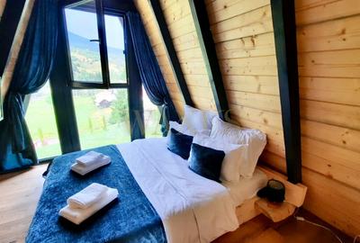 Teren 34,5 ari + cabana A-frame Colibita – ideal pentru resort, spa sau pensiune - 6