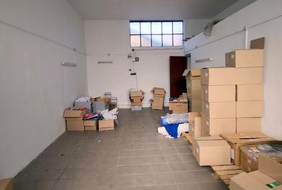 Spatiu Comercial: Vila 290mp + 4 spatii comerciale/depozitare - 19