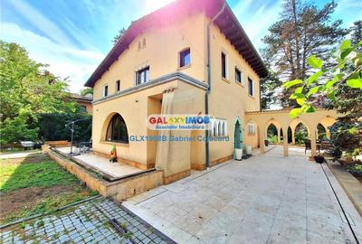 Vila stil florentin pe malul lacului,teren4043mp iesire la lac de 25ml - 8