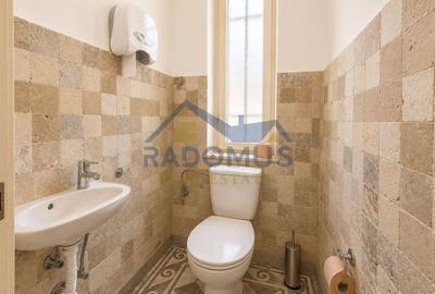 Spațiu Comercial | Centru | 3 Camere | 100 mp | Etaj 500/ Mansarda 400 - 11