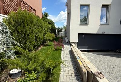 Vila 6 camere Balotesti - 5