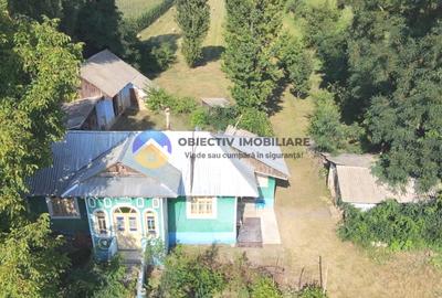 CASĂ + teren 4500 mp DRAGOMIREȘTI, judetul Neamț - 17