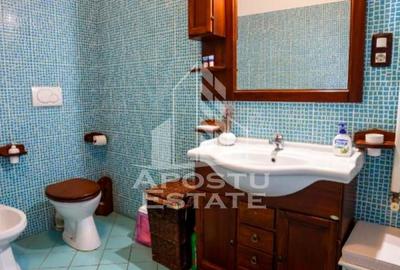 Apartament 1 camera de inchiriat, pet friendly, centru, Timisoara - 13