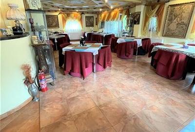 Arta si design in incantarea naturii, oportunitate rezidential/ turistic, Predea - 12