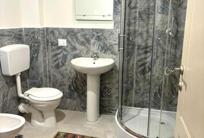 Apartament cu 2 camere în bloc nou la prima închiriere - zona Bucium - Vișan - 5