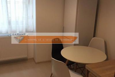Apartament  2 camere lux, Craiovei, mobilat, utilat premium. - 10