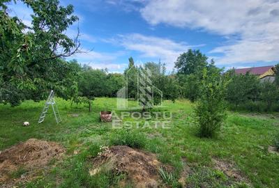 Casa individuala 3camere si teren de 1487 mp Bogdanestilor - 11