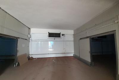 Hala 343 mp ideala industria alimentara, depozitare - 1