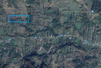 Teren agricol extravilan de 9826 mp, în Aluniș