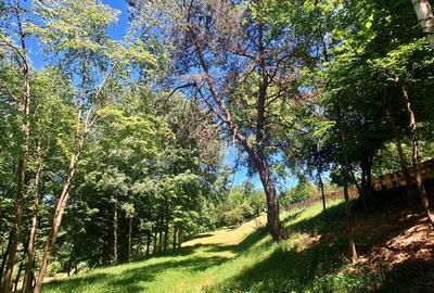 Teren intravilan de vânzare-3600 mp-str. Visinilor-Cisnadioara! - 5