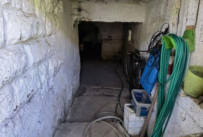 Casa vacanta,investitie  in Gurahont cu teren generos - 18