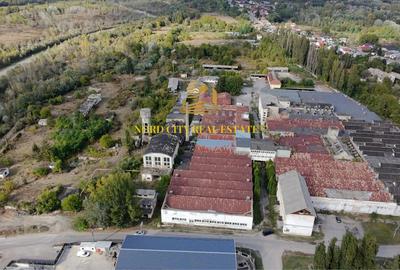 Platforma Industriala-8 ha -Fabrica-Hale Productie-21.500 mp - 5