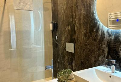 Apartament 2 Camere | Parcul Circului | Mobilat si utilat lux - 10