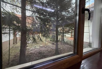 CASA INDIVIDUALA MOARA DE VANT S+P+M BECI GARAJ - 31