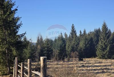 Teren 3,266mp Dorna-Arini / Drumul ORTOAIA - PODIREI - 4