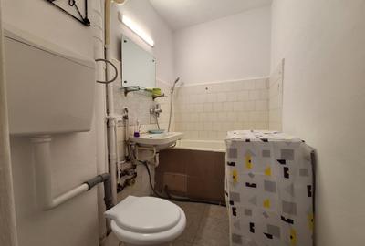Inchiriere apartament 2 camere Drumul Taberei,  mobilat, stradal, metrou, parc - 8