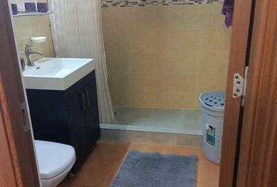 Apartament 2 Camere Decomandat – Nicolina 2 (prima stație după Podu Ro - 7
