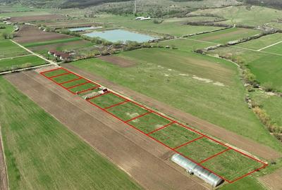 Teren Construcții intravilan de 600 mp, în Ineu