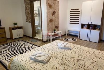 Vanzare Pensiune , Casa ,  Rezervatia Piatra Craiului / Satic, Arges - 12