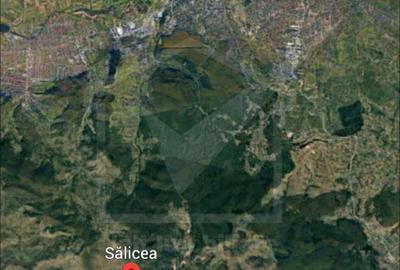 Teren 2100 mp/extravilan, Salicea - 2