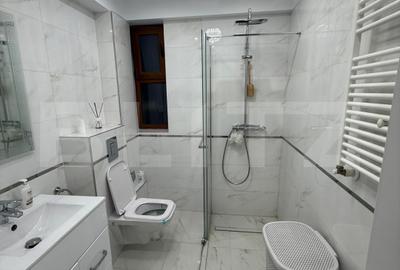 Apartament de lux cu 3 camere, 120 mp, curte privată de 70 mp, zona Palas Mall - 8