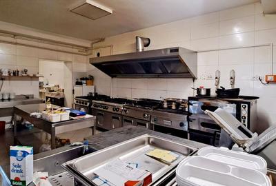 Pensiune deosebita, locuri de cazare, restaurant, pizzerie si spatii comerciale - 12