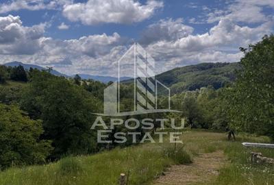 Casa la munte, la cheie, priveliste panoramica, in sat Ret, Hunedoara - 7