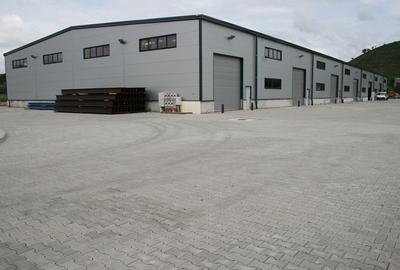 Hala cu platforme, acces DN - 1