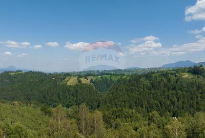Teren Panoramic in Bran – Vedere spre Bucegi & Piatra Craiului - 7