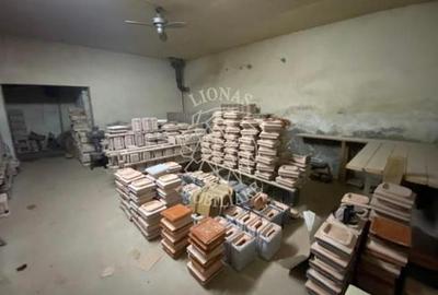Business/Casa/Hala - 28 ari - Livezile- EXCLUSIVITATE - 7