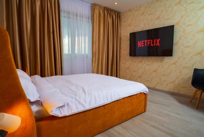 Garsonieră semidecomandată, mobilată în Vitan-Bârzești