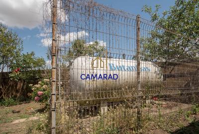 Casa de vanzare 4 camere- teren 2550 mp in comuna Tamadaul Mare - Jud Calarasi - 20