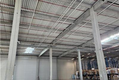 Spatiu Industrial - 3500 mp - Logistica - Productie - Depozitare - Distributie - 2