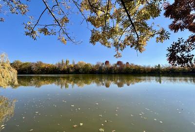 Teren 6000 mp pozitie deosebita lacul Baneasa adancime 140 m - 13