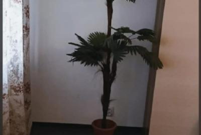 Apartament cu 2 camere - zona Tudor Vladimirescu - Bld. Chimiei - 5