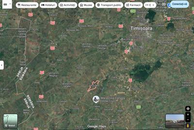 Terenuri extravilane Peciu Nou jud Timis - 1