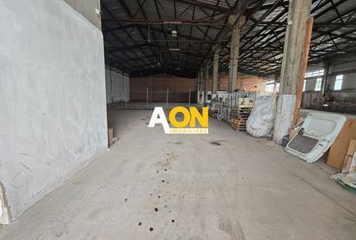 Spațiu Industrial, 900mp, Zona Bărăbanț - 14