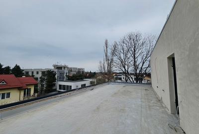 PENTHOUSE 5 CAMERE IANCU NICOLAE - 13