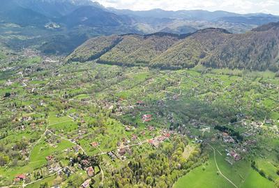 Teren intravilan Bran- Predelut - 18