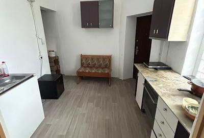Apartament in vilă 3 camere, 125mp teren in folosinta (L18) - Nerva Traian - 10