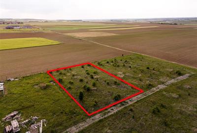 RECO Teren de vanzare Paleu 1025mp - 6
