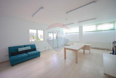 De vânzare spațiu industrial PGS Sofa, calea Borșului - 16