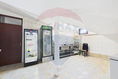 Afacere de vanzare, restaurant Gradina Icoanei - 15