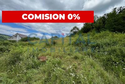 Teren Intravilan Constructii Podis-Margineni - 1